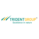 Trident Ltd.