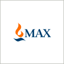 Max Financial Services Ltd.